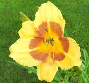9-09